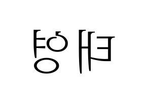 KPOP CRAVITY(크래비티、クレビティ) 태영 (テヨン) 応援ボード・うちわ　韓国語/ハングル文字型紙 左右反転