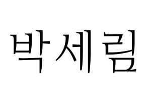 KPOP CRAVITY(크래비티、クレビティ) 세림 (セリム) 応援ボード・うちわ　韓国語/ハングル文字型紙 通常