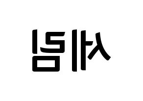 KPOP CRAVITY(크래비티、クレビティ) 세림 (セリム) k-pop アイドル名前 ファンサボード 型紙 左右反転