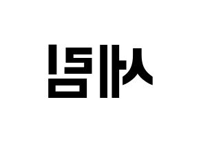 KPOP CRAVITY(크래비티、クレビティ) 세림 (セリム) k-pop アイドル名前 ファンサボード 型紙 左右反転