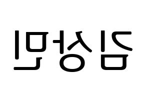 KPOP CROSS GENE(크로스진、クロスジン) 상민 (サンミン) プリント用応援ボード型紙、うちわ型紙　韓国語/ハングル文字型紙 左右反転