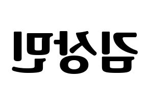 KPOP CROSS GENE(크로스진、クロスジン) 상민 (サンミン) コンサート用　応援ボード・うちわ　韓国語/ハングル文字型紙 左右反転