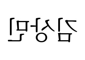 KPOP CROSS GENE(크로스진、クロスジン) 상민 (サンミン) 応援ボード・うちわ　韓国語/ハングル文字型紙 左右反転