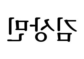 KPOP CROSS GENE(크로스진、クロスジン) 상민 (サンミン) プリント用応援ボード型紙、うちわ型紙　韓国語/ハングル文字型紙 左右反転