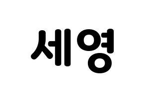 KPOP CROSS GENE(크로스진、クロスジン) 세영 (セヨン) 応援ボード・うちわ　韓国語/ハングル文字型紙 通常
