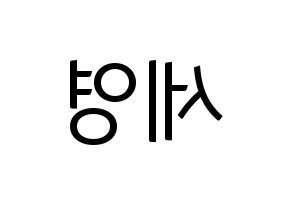 KPOP CROSS GENE(크로스진、クロスジン) 세영 (セヨン) コンサート用　応援ボード・うちわ　韓国語/ハングル文字型紙 左右反転