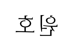 KPOP CROSS GENE(크로스진、クロスジン) 신 (シン) 応援ボード・うちわ　韓国語/ハングル文字型紙 左右反転