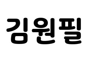 KPOP DAY6(데이식스、デイシックス) 원필 (ウォンピル) 応援ボード・うちわ　韓国語/ハングル文字型紙 通常