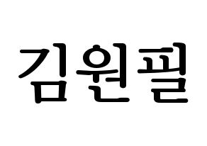 KPOP DAY6(데이식스、デイシックス) 원필 (ウォンピル) プリント用応援ボード型紙、うちわ型紙　韓国語/ハングル文字型紙 通常