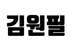 KPOP DAY6(데이식스、デイシックス) 원필 (ウォンピル) コンサート用　応援ボード・うちわ　韓国語/ハングル文字型紙 通常