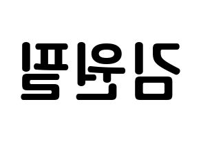 KPOP DAY6(데이식스、デイシックス) 원필 (キム・ウォンピル, ウォンピル) k-pop アイドル名前　ボード 言葉 左右反転