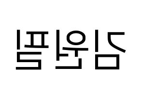 KPOP DAY6(데이식스、デイシックス) 원필 (ウォンピル) プリント用応援ボード型紙、うちわ型紙　韓国語/ハングル文字型紙 左右反転