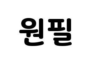 KPOP DAY6(데이식스、デイシックス) 원필 (ウォンピル) 応援ボード・うちわ　韓国語/ハングル文字型紙 通常