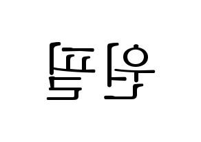 KPOP DAY6(데이식스、デイシックス) 원필 (ウォンピル) 応援ボード・うちわ　韓国語/ハングル文字型紙 左右反転
