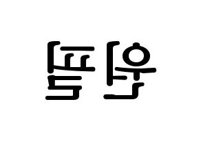 KPOP DAY6(데이식스、デイシックス) 원필 (ウォンピル) プリント用応援ボード型紙、うちわ型紙　韓国語/ハングル文字型紙 左右反転