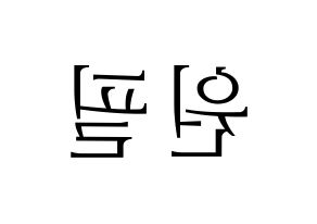 KPOP DAY6(데이식스、デイシックス) 원필 (ウォンピル) 応援ボード・うちわ　韓国語/ハングル文字型紙 左右反転