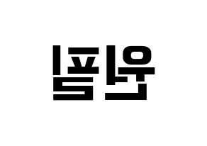KPOP DAY6(데이식스、デイシックス) 원필 (ウォンピル) k-pop アイドル名前 ファンサボード 型紙 左右反転