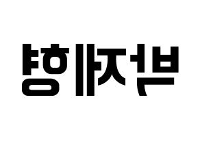 KPOP DAY6(데이식스、デイシックス) Jae (ジェイ) k-pop アイドル名前 ファンサボード 型紙 左右反転