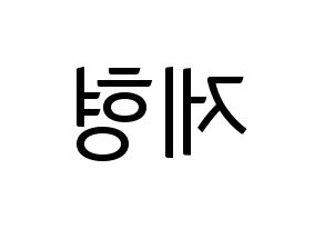 KPOP DAY6(데이식스、デイシックス) Jae (ジェイ) コンサート用　応援ボード・うちわ　韓国語/ハングル文字型紙 左右反転