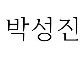 KPOP DAY6(데이식스、デイシックス) 성진 (ソンジン) 応援ボード・うちわ　韓国語/ハングル文字型紙 通常