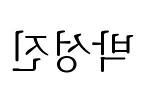 KPOP DAY6(데이식스、デイシックス) 성진 (ソンジン) 応援ボード・うちわ　韓国語/ハングル文字型紙 左右反転