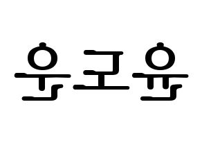 KPOP DAY6(데이식스、デイシックス) 도운 (ドウン) プリント用応援ボード型紙、うちわ型紙　韓国語/ハングル文字型紙 左右反転