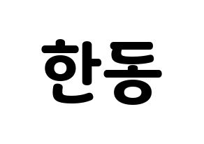 KPOP Dreamcatcher(드림캐쳐、ドリームキャッチャー) 한동 (ハンドン) 応援ボード・うちわ　韓国語/ハングル文字型紙 通常