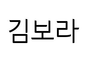 KPOP Dreamcatcher(드림캐쳐、ドリームキャッチャー) 수아 (スア) コンサート用　応援ボード・うちわ　韓国語/ハングル文字型紙 通常