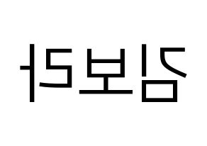 KPOP Dreamcatcher(드림캐쳐、ドリームキャッチャー) 수아 (スア) プリント用応援ボード型紙、うちわ型紙　韓国語/ハングル文字型紙 左右反転