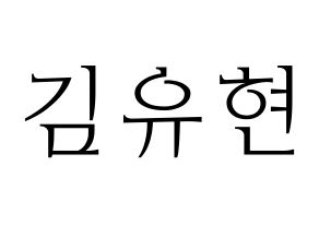 KPOP Dreamcatcher(드림캐쳐、ドリームキャッチャー) 유현 (ユヒョン) 応援ボード・うちわ　韓国語/ハングル文字型紙 通常