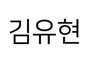 KPOP Dreamcatcher(드림캐쳐、ドリームキャッチャー) 유현 (ユヒョン) プリント用応援ボード型紙、うちわ型紙　韓国語/ハングル文字型紙 通常