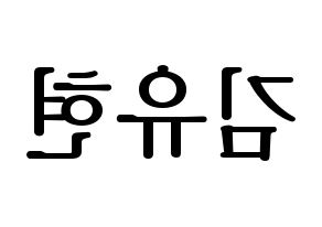 KPOP Dreamcatcher(드림캐쳐、ドリームキャッチャー) 유현 (ユヒョン) プリント用応援ボード型紙、うちわ型紙　韓国語/ハングル文字型紙 左右反転