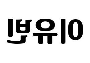 KPOP Dreamcatcher(드림캐쳐、ドリームキャッチャー) 다미 (ダミ) コンサート用　応援ボード・うちわ　韓国語/ハングル文字型紙 左右反転