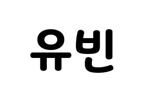 KPOP Dreamcatcher(드림캐쳐、ドリームキャッチャー) 다미 (ダミ) 応援ボード・うちわ　韓国語/ハングル文字型紙 通常