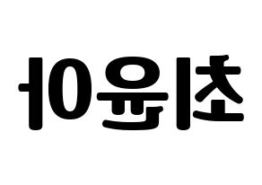 KPOP ELRIS(엘리스、エリス) 벨라 (ベラ) コンサート用　応援ボード・うちわ　韓国語/ハングル文字型紙 左右反転