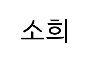KPOP ELRIS(엘리스、エリス) 소희 (ソヒ) コンサート用　応援ボード・うちわ　韓国語/ハングル文字型紙 通常