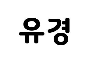 KPOP ELRIS(엘리스、エリス) 유경 (ユギョン) 応援ボード・うちわ　韓国語/ハングル文字型紙 通常