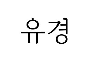 KPOP ELRIS(엘리스、エリス) 유경 (ユギョン) 応援ボード・うちわ　韓国語/ハングル文字型紙 通常
