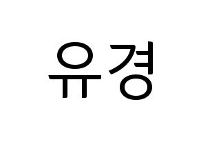KPOP ELRIS(엘리스、エリス) 유경 (ユギョン) コンサート用　応援ボード・うちわ　韓国語/ハングル文字型紙 通常