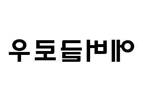 KPOP歌手 Everglow(에버글로우、エバーグロー) 応援ボード型紙、うちわ型紙　韓国語/ハングル文字 左右反転