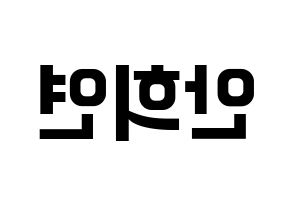 KPOP EXID(이엑스아이디、イェクスアイディ) 하니 (ハニ) k-pop アイドル名前 ファンサボード 型紙 左右反転