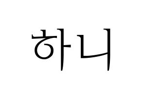 KPOP EXID(이엑스아이디、イェクスアイディ) 하니 (ハニ) 応援ボード・うちわ　韓国語/ハングル文字型紙 通常