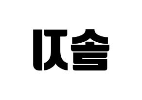 KPOP EXID(이엑스아이디、イェクスアイディ) 솔지 (ソルジ) コンサート用　応援ボード・うちわ　韓国語/ハングル文字型紙 左右反転