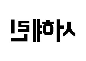 KPOP EXID(이엑스아이디、イェクスアイディ) 혜린 (ヘリン) k-pop アイドル名前 ファンサボード 型紙 左右反転