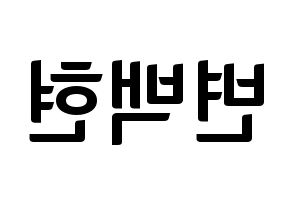 KPOP EXO-CBX(엑소-CBX、エクソ-CBX) 백현 (ベクヒョン) k-pop アイドル名前 ファンサボード 型紙 左右反転