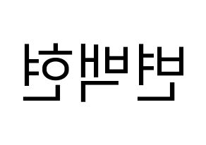 KPOP EXO-CBX(엑소-CBX、エクソ-CBX) 백현 (ベクヒョン) プリント用応援ボード型紙、うちわ型紙　韓国語/ハングル文字型紙 左右反転