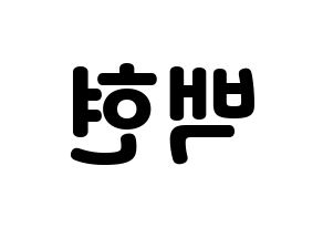 KPOP EXO-CBX(엑소-CBX、エクソ-CBX) 백현 (ベクヒョン) 応援ボード・うちわ　韓国語/ハングル文字型紙 左右反転