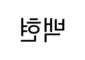 KPOP EXO-CBX(엑소-CBX、エクソ-CBX) 백현 (ベクヒョン) コンサート用　応援ボード・うちわ　韓国語/ハングル文字型紙 左右反転