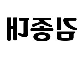 KPOP EXO-CBX(엑소-CBX、エクソ-CBX) 첸 (チェン) コンサート用　応援ボード・うちわ　韓国語/ハングル文字型紙 左右反転