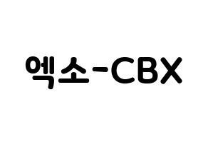 無料 KPOP歌手 EXO-CBX(엑소-CBX、エクソ-CBX) ハングル応援ボード型紙、応援グッズ制作 通常